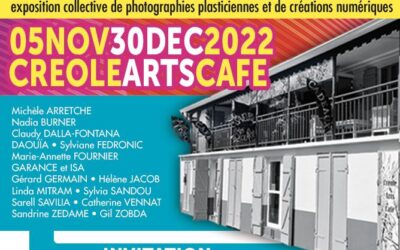 Exposition « Insolite » au Créole Art Café – Saint-Pierre du 5 novembre 22 au 30 decembre 22